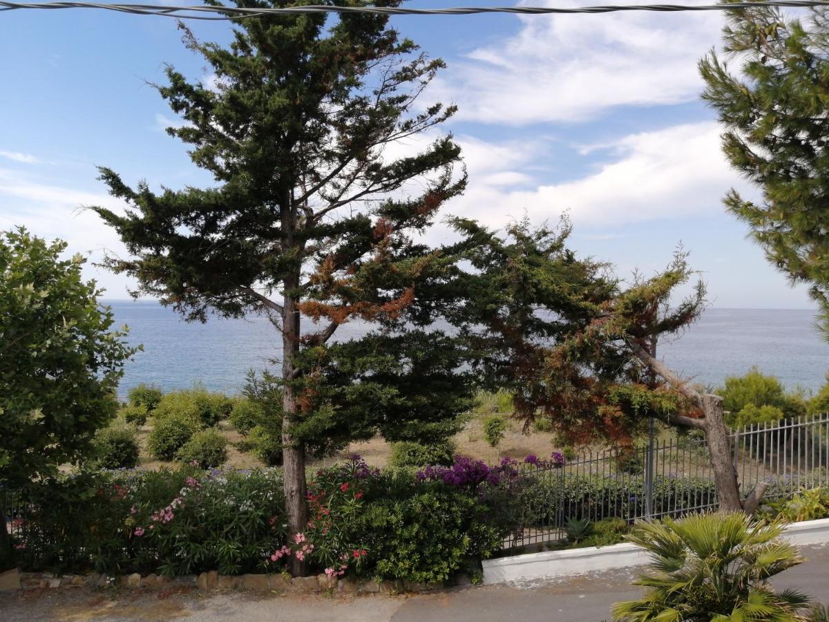 Villaggio Turistico La Vesca Sanremo Eksteriør bilde
